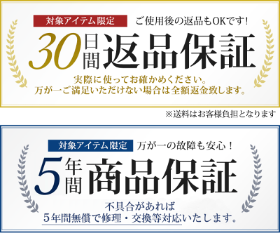 【マラソン期間P5倍】【ツイストステッパー正規品】ステッパー ツイストステッパー ライト SP-700 | 負荷調節付 ハンドル付き ハンドル 静音 ウォーキング 足踏み 初心者 シニア 高齢者 ダイエット お腹痩せ 有酸素運動 ツイスト 筋トレ 足踏み健康器具 ながら 膝 腰 太もも - Image 3