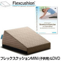 サンテプラス フレックスクッション MINI 子供用 ＆DVDセット