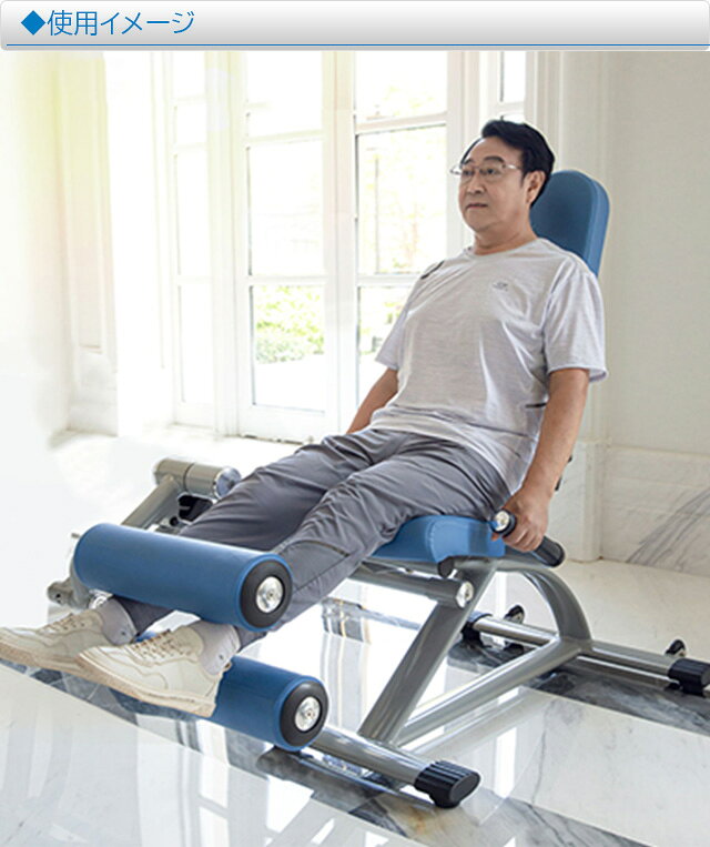 DAIKOU ダイコウ 大広 レッグカール エクステンション DK-677【送料無料】