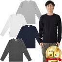 アビレックス デイリー クルーネック ロンT 長袖 Tシャツ ロングスリーブ 6153481 カットソー アヴィレックス Avirex メンズ 送料無料