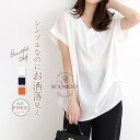 ブラウス レディース 夏 半袖 シャツ プルオーバー vネック 綿シャツ トップス Tシャツ チュニック ベーシック ナチュラル シンプル 前開き ゆったり 着瘦せ きれいめ 柔らか カジュアル 通勤 フォーマル オフィス 送料無料