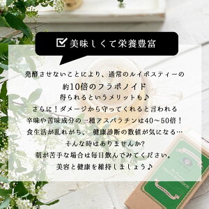 グリーンルイボスティー1.5g×20TBルイボスティールイボス茶未発酵グリーンフレーバーティーハーブティー茶葉ティーバッグお茶オーガニックノンカフェインアップルプレミアムピュアH&FBELXエイチアンドエフベルクス