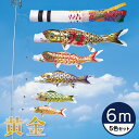 【送料無料】黄金に輝くうろこ☆黄金錦鯉 黄金飛龍吹流し・金太郎付黒鯉 6M 5色セット【こいのぼり】【RCP】