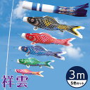 まるでシルクのようなしなやかさ☆祥雲 龍柄吹流 3M 5色セット 【こいのぼり】