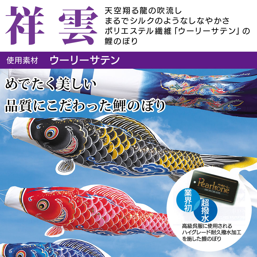 まるでシルクのようなしなやかさ☆祥雲 龍柄吹流 4M 5色セット 【こいのぼり】