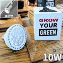 Plant NEXLIGHT 植物育成LEDライト
