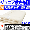 母の日/託児所採用制菌敷布団 ジュニア 【送料無料】セミシングル 80 180敷き布団 布団 ジュニア[80x180cm] アレルギー対応 日本製　抗菌から制菌・防ダニ・防臭 ジュニアサイズ 洗える　ドクター布団 ジュニア子供用小さめ 硬質 敷布団/ 2