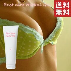 https://thumbnail.image.rakuten.co.jp/@0_mall/hhh/cabinet/pageimage/bustcare/081101b_001.jpg