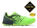 j[oX SAebNX Y Xj[J[ tbVtH[ qG o[W7 lIO[  h ru gC V[Y V NEW BALANCE FRESH FOAM X HIERRO V7 GTX L7 GREEN GORE-TEX VIBRAM