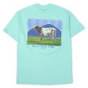 リバティーグラフィックス LIBERTY GRAPHICS 未使用 デッドストック 90s 90年代 プリントTシャツ HANES BEEFY BLUE HILL FAIR 1992 MADE IN USA アメリカ製 ヴィンテージ ビンテージ ティファニーブルー ミントグリーン L【中古】