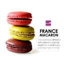 【期間限定のお試し50%OFF!】ファーストクラスやカンヌ映画祭で使用!Magm社の冷凍マカロンレッドフルーツアソート 【冷凍のみ】マカロン スイーツ お取り寄せ ストロベリー カシス ラズベリー チェリー/4種 スイーツ パーティー ギフト プレゼント 女子会
