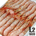 生食用 天然アルゼンチン赤海老 L2【2kg（約20〜30尾/kg）】【冷凍のみ】