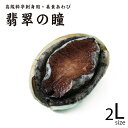 高級料亭刺身用・美食あわび 翡翠の瞳 タイガー 2L 【1kg（約10粒）】【冷凍のみ】