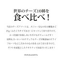 世界のチーズ10種とドライフルーツのプレミアムアソート 【約25g×10種】【冷蔵/冷凍可】 チーズ 詰め合わせ セット 父の日 クリスマス 母の日 お中元 お歳暮 誕生日 ギフト 【4月19日(金)から順次発送】