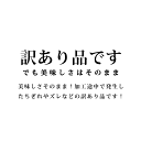 hi-syokuzaishitu:10019675のサンプル画像3