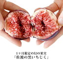 【今年も販売開始!季節限定品】佐渡島小木産の超希少品種『黒イチジク』フィグ・ド・オギをフレッシュのままで!糖度20度を誇るねっとり甘い果実と蜜を生ハムやチーズと一緒に!【約300g】【冷蔵のみ】フィグ いちじく イチジク 生ハム 果実 フルーツ 【CK】