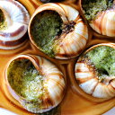 エスカルゴ フランス産 プレスト 12粒入り つめかえ用 詰め替え エスカルゴバター ガーリックバター escargot エスカルゴミート カタツムリ ココット オードブル 洋風 輸入食材 業務用 冷凍 お取り寄せグルメ 高級食材 豊洲市場 イタリアン フランス料理 ギフト ワイン