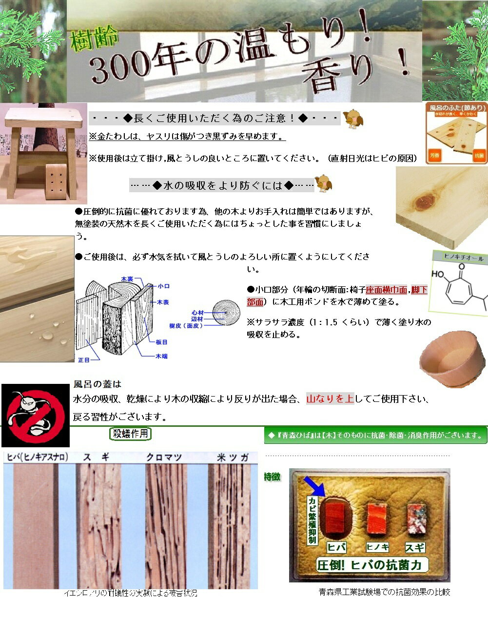 �Ŀ��ҥ� ��Ϥ �ػ� [295��175�߹�235mm]���и��֤� �� ��Ϥ �ػ� ���� ��