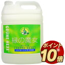 緑の魔女 キッチン(食器用洗剤) 5L【RCP】【532P17Sep16】(3)