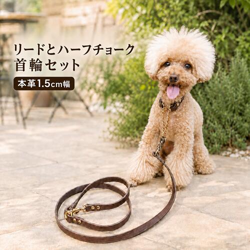 リードとハーフチョーク首輪セット 中型犬用 小型犬首輪 おしゃれ かわいい ブランド 名入れ 迷子札 チョコ 本革1.5cm幅