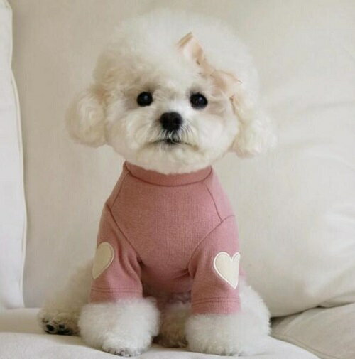 小型犬 肌触り抜群ハート長袖とろけるカットソー エルボーパッチ トイプードル チワワ 雑種 ビーグル ..