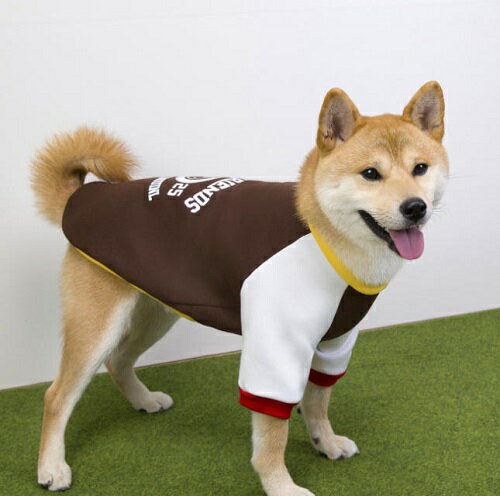 その他の中型犬服はこちら ＜夏でも洋服を着てほしいワケ＞ ワンちゃんは肉球にしか汗腺がなく 発汗による体温調節がほとんど できないので暑さが苦手です。 そのため日差しの強い屋外や 熱のこもりやすい車内など 熱中症を引き起こしやすくなります。 ＜汚れ防止＞＜怪我や虫から守る＞ 雨上がりの路面や草むらなどが 濡れている時に 散歩をするとお腹周りが汚れることも。 草木が生い茂った場所では 小枝で怪我をしたり ダニ、蚊などの虫が毛の中に 入り込むこともあります。 また、ワンちゃん同士がじゃれ合う ドッグランでは服を一枚着せて 全身の汚れから守ることも。 ＜冷房対策＞ 飼い主さんにとっては適温でも ワンちゃんにとっては 寒すぎるという場面もあります。 そんなとき洋服を1着 バッグに忍ばせておくのも good！ 裏起毛のラグラン袖カットソーです。 クレイジーパターンでアメカジ風。 リブの切り替えしもアクセントに。 hibiのセレクト商品ですので オリジナル商品とはサイズが違います。 ご購入の際はご確認くださいませ。 ご家庭で洗濯できますが ネットに入れての 洗濯をおススメしております。 裁断箇所によって見え方も異なります。 モニターの発色の具合によって 実際のものと色が異なる場合が ございますので予めご了承くださいませ。 その他の中型犬服はこちら サイズ 2XL 首周り（約38cm）胴回り（約58cm）着丈（約48cm） 3XL 首周り（約40cm）胴回り（約66cm）着丈（約56cm） #柴犬　#ペット服　#いぬ服　#犬服　＃ビーグル＃ダックス＃シーズー＃フレンチブルドッグ　#中型犬　#小型犬 #パピー　
