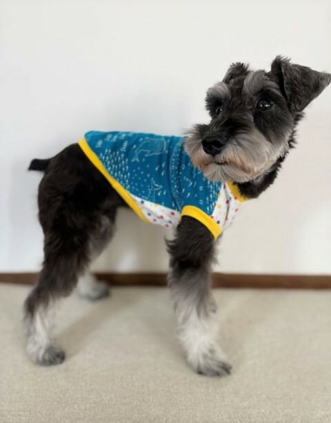 ミニチュアダックス　服 コーギー 　深海　～星の声も届かない世界～　ディープオーシャンカットソー