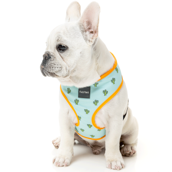 ���եȥϡ��ͥ� �� ƹ�� �»һ� ���襤�� ������� ȴ���ʤ� æ���ʤ� ������ �淿�� Ķ������ �Ҹ�