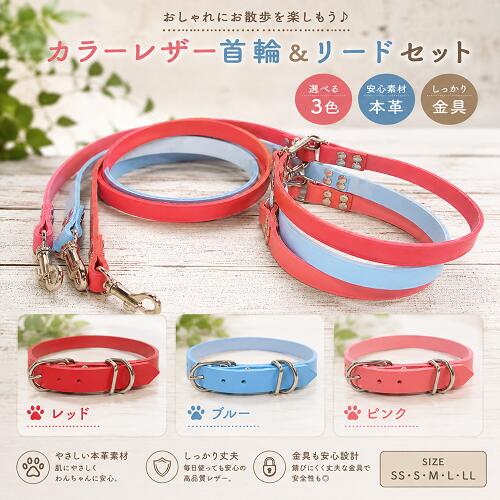 お名前数字刻印無料本革リードと首輪...