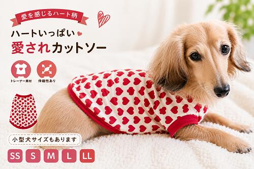 楽天市場】ミニチュアダックス 服 コートの通販