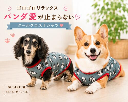 ダックス服ミニチュアダックスフンド...