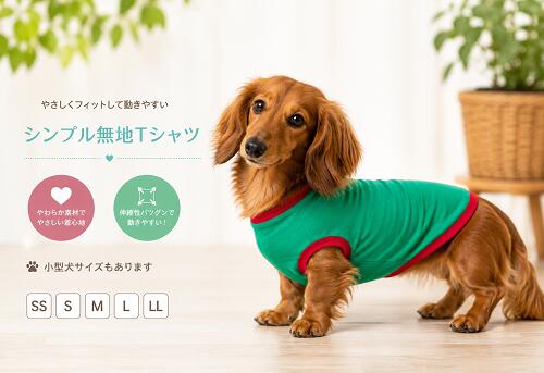 楽天市場】ダックスフンド 服（Tシャツ・カットソー｜ドッグウェア