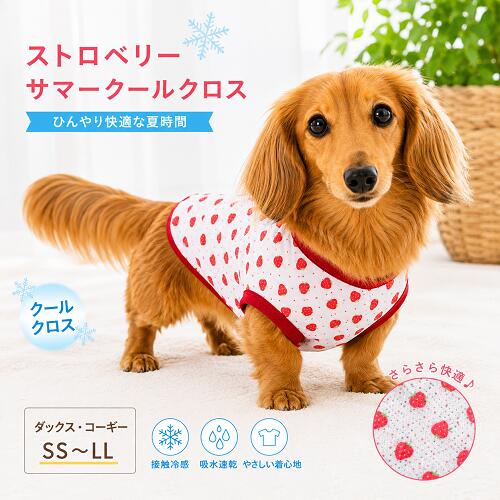 よっしーページです　ダックスフンド　犬服 タンクトップ 楽天市場】ミニチュア ダックスフンド 洋服（タンクトップ｜ドッグ