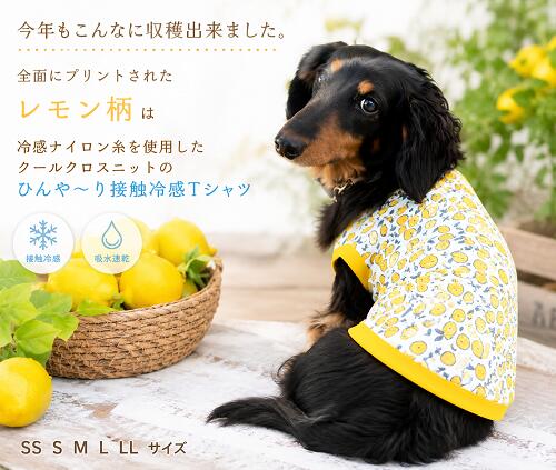 吸水