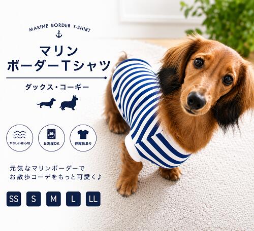 楽天市場】ミニチュア ダックスフンド 洋服（ドッグウェア｜犬用品
