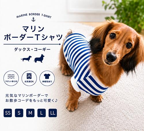 楽天市場】ミニチュア ダックスフンド 洋服（ドッグウェア｜犬用品