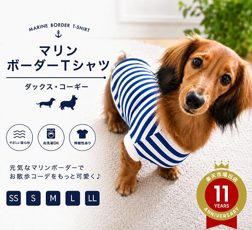 楽天市場】犬服 胴回り 55cmの通販