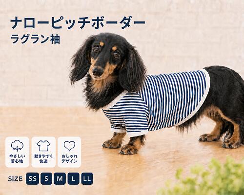 楽天市場】カニンヘンダックス ドッグウェア（適正犬種ダックスフンド