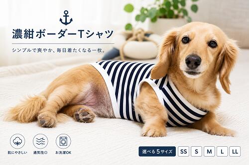 楽天市場】ダックスフンド 服の通販