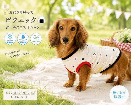 楽天市場】カニンヘンダックス ドッグウェア（適正犬種ダックスフンド