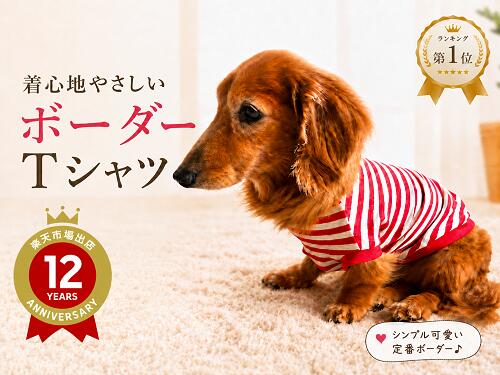 楽天市場】ミニチュア ダックスフンド 洋服（ドッグウェア｜犬用品