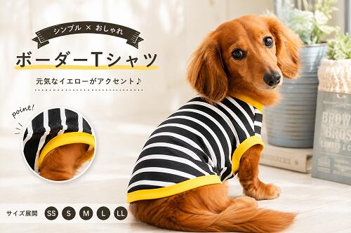 まとめ買い15％OFFクーポン ダックス 服 ミニチュアダックスフンド 服 おしゃれ 専門店 dmサイズ 柔らかシックボーダー バイカラー タンクトップ　Tシャツ 犬用 ドッグウエア 犬の服 犬服 着せやすい 抜け毛対策 乾燥予防 洗濯OK 冷房対策