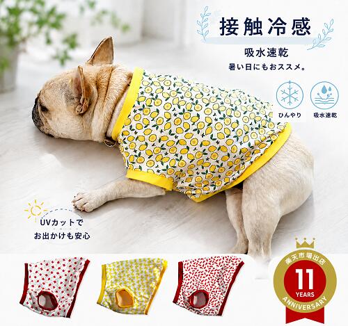 お盆SALE 小型犬 フレンチブルドッグ 服 ひんやりさわやかもぎたてレモン ストロベリー バナナ スイカ 今年も大収穫祭 接触冷感 吸水速乾 クールクロス Tシャツ 柴犬 トイプードル フレブル服 春夏 フレブル 専門店 シニア犬 着せやすい 抜け毛対策