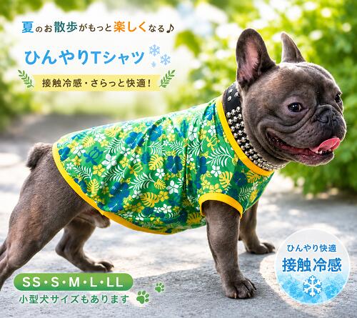 楽天市場】フレブル 服 濡らし（ペット・ペットグッズ）の通販