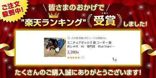 ミニチュアダックス 服 ダックス服 コーギー 服 おしゃれ dmサイズ 専門店 Blue Stars 星に願いを ラグランカットソー 高齢犬 シニア犬 着せやすい 抜け毛対策 乾燥予防 hibi-days-10001394 犬の服 首輪 犬のリードの通販hibi サンプル画像2
