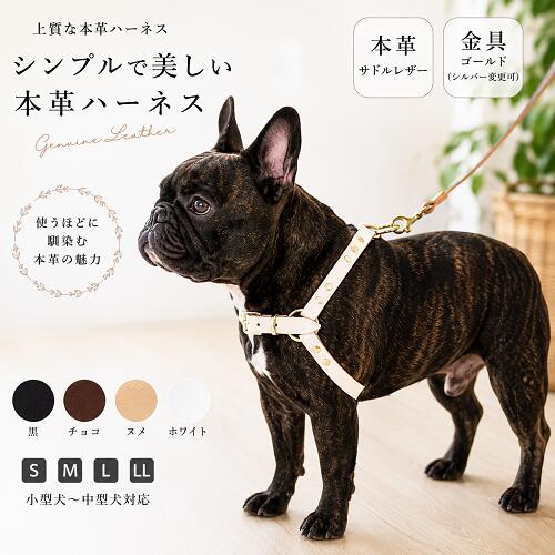 楽天市場】レザー（ハーネスリード｜首輪・胴輪・リード）：犬用品