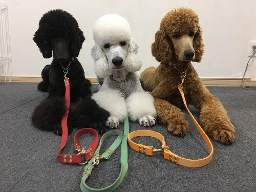 カラーヌメ リードとハーフチョークセット 中型犬 大型犬 ハーフチョーク 大型犬 カラーヌメ 2cm幅 レッド 犬の服 カラーヌメ 首輪 犬 のリードの通販hibiお名前 数字刻印無料です ハーフチョーク中型犬 カラーレザー 小型犬用 皮製首輪 犬用首輪 本革 首輪