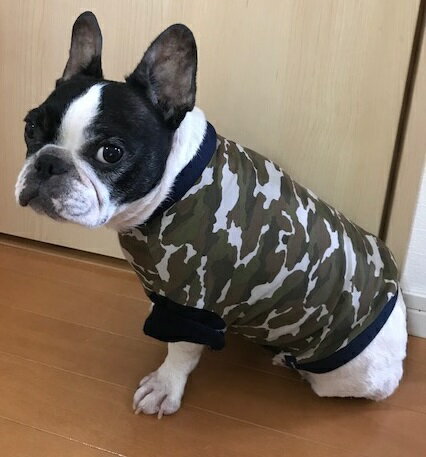 小型犬 中型犬 服 フレンチブルドッグ　服 迷彩柄 オンブルー