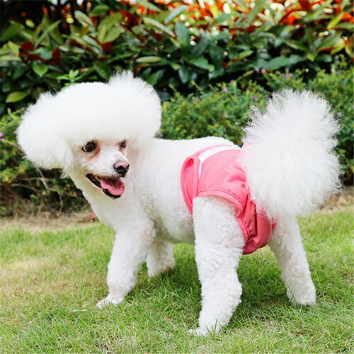 �ڥå������ѥ�� ���ѥѥ�� ���������ѥ�� ���λ���