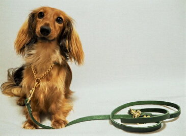 ハーフチョーク 小型犬用 リードセット 1cm幅